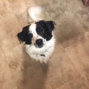 Meet your Posher, Ingrid